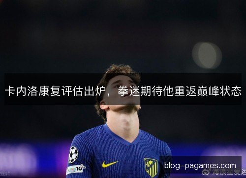 卡内洛康复评估出炉,拳迷期待他重返巅峰状态 卡内洛康复评估出炉,拳迷期待他重返巅峰状态