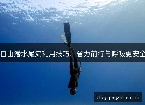 自由潜水尾流利用技巧,省力前行与呼吸更安全 自由潜水尾流利用技巧,省力前行与呼吸更安全